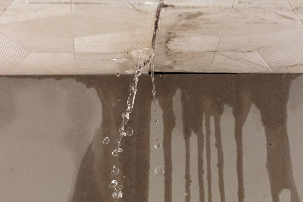 Professional Structural Drying technician working in Rockville, IN